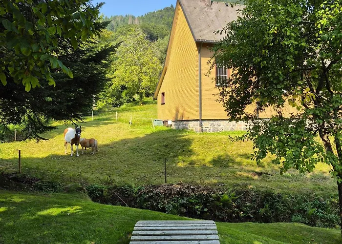 Vakantiehuis Tiny House Eulenbach - Urlaub Im Gletscherkessel Praeg *